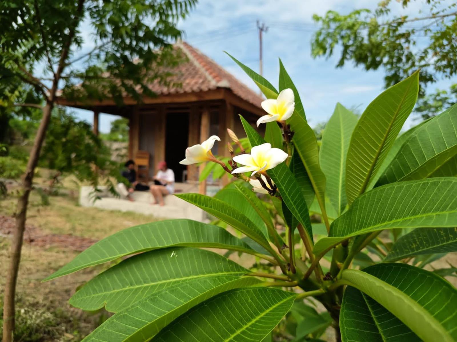 Melody Surf - Ekas Lombok酒店 外观 照片